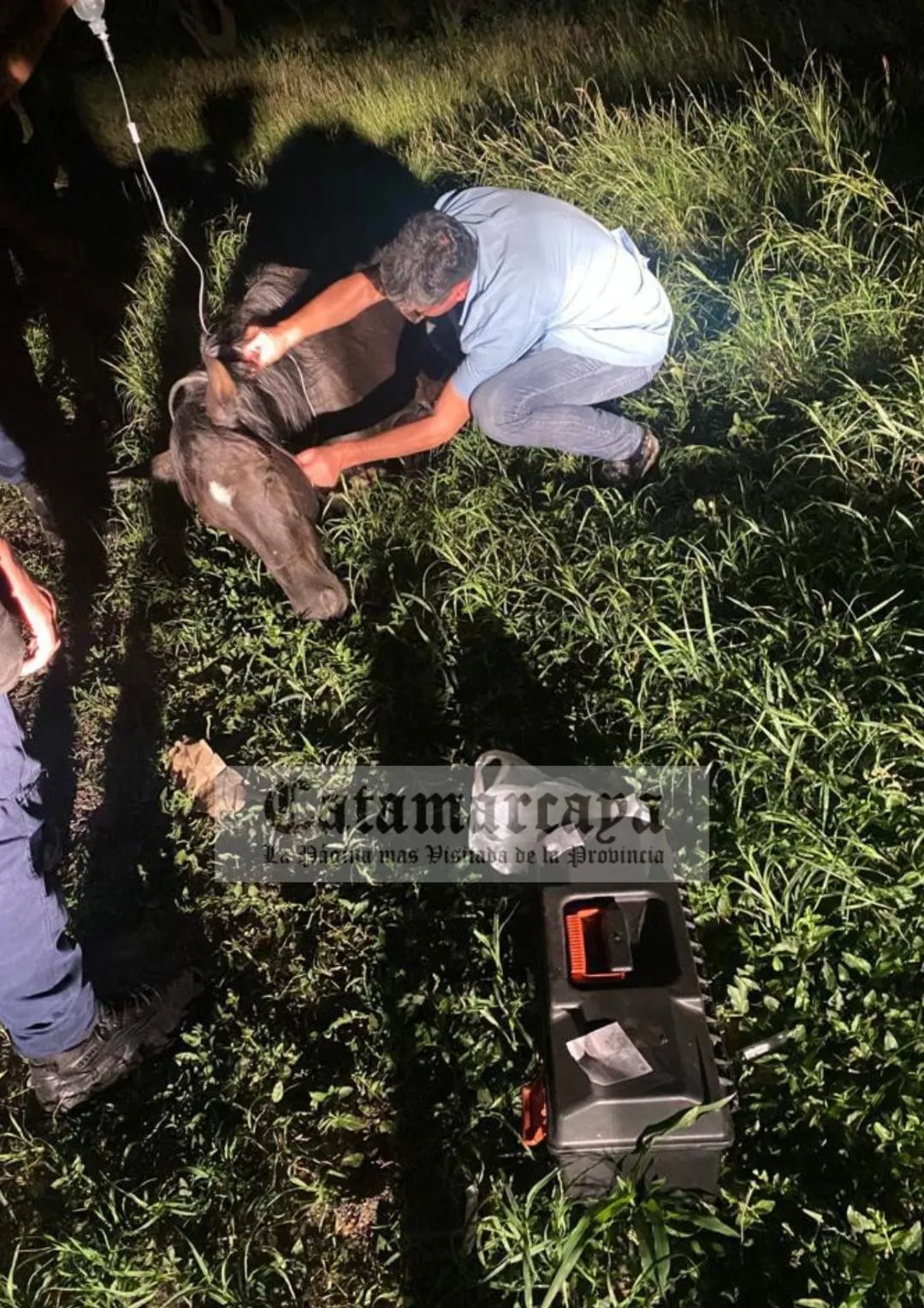 Horror: una mujer incendió su casa con sus hijos adentro y se salvaron de milagro
