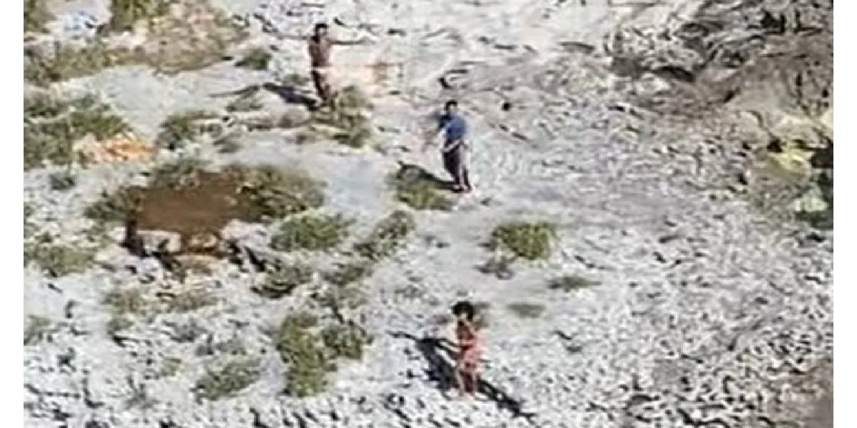 Horroroso ataque de una plaga de mosquitos a un hombre. Video