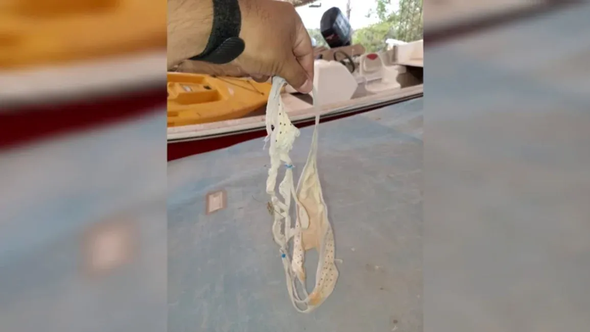 Huevo duro: cuál es el tiempo exacto