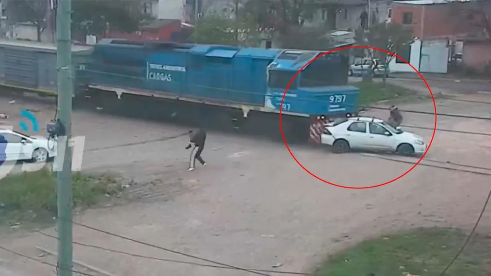 “Humanizar a los perros y a los gatos puede afectar su bienestar”