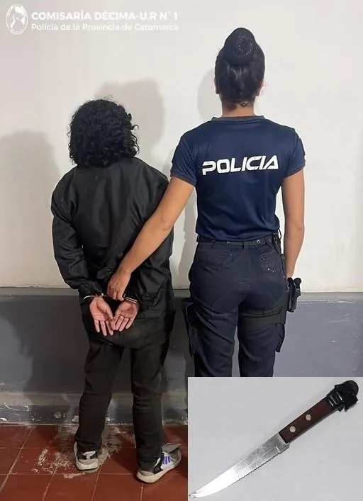 Iba a despedir a su madre al cementerio, fue atacado por abejas y murió