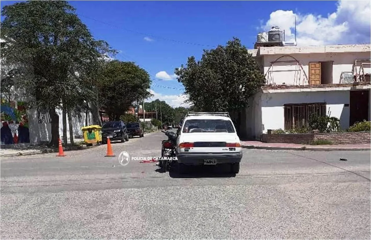 IMÁGENES SENSIBLES: Funcionario en vehículo oficial chocó un caballo y debieron sacrificarlo