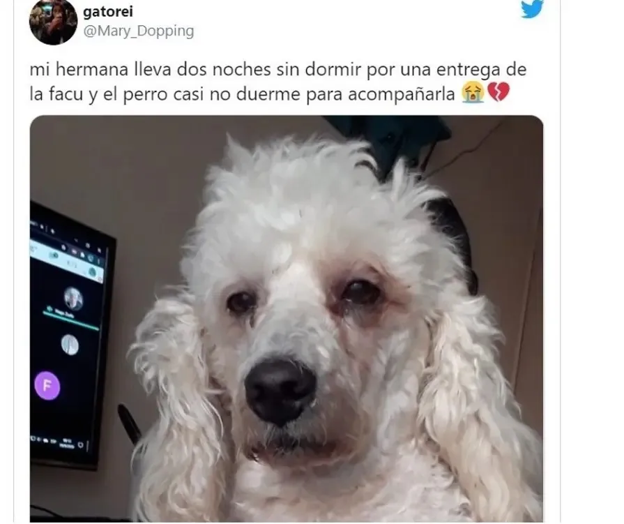 Impactantes imágenes sobre cómo quedaría la "nueva" Bombonera