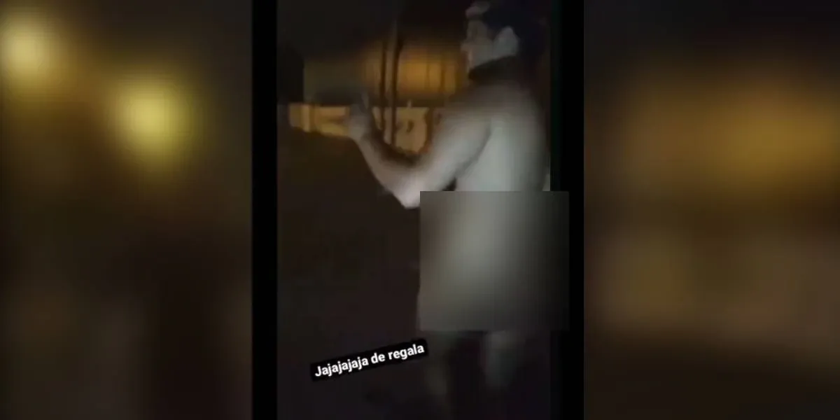 Incautan 65 kilos de fibra de vicuña sin documentación legal