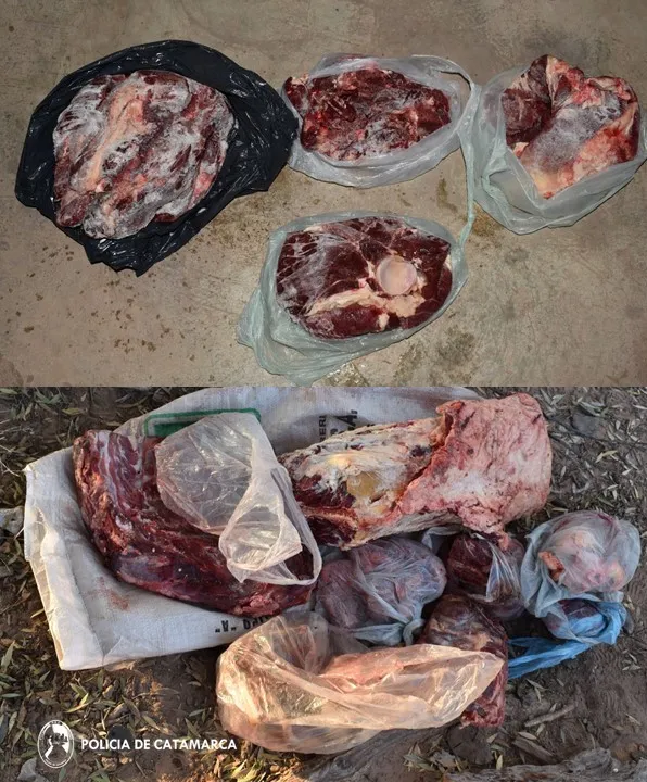 Incautan carne, armas y hacienda abigeada