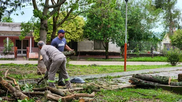 Incautaron neumáticos y hojas de coca en múltiples controles