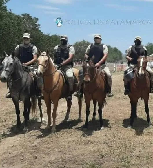 Información oficial actualizada sobre COVID-19