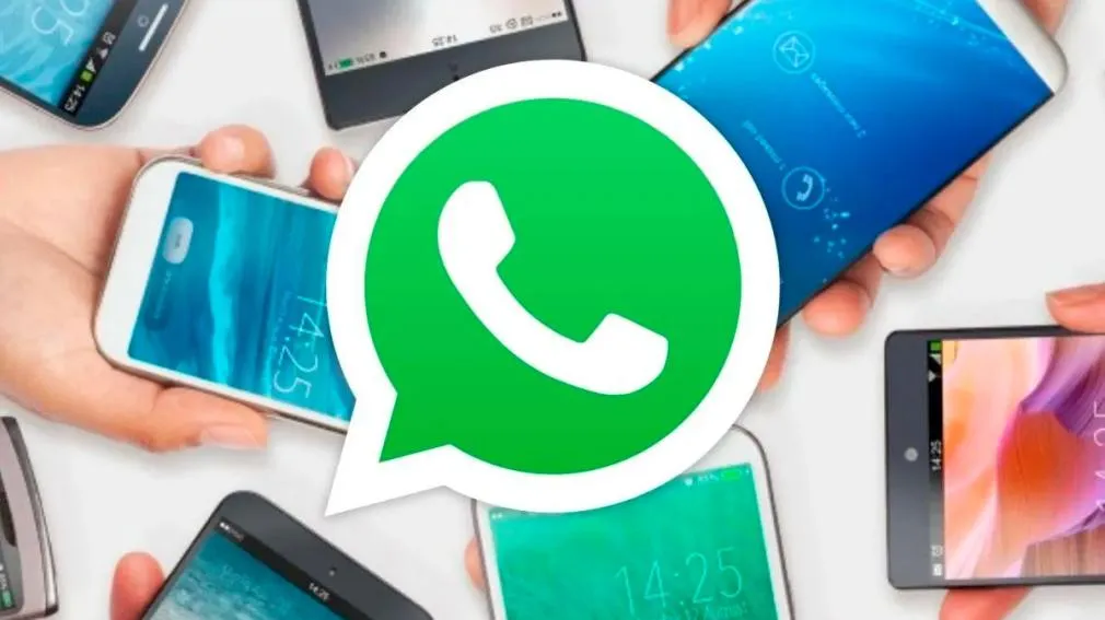 INSEGURIDAD AL PALO: Entró a robar y casi mata de una pedrada al dueño de casa