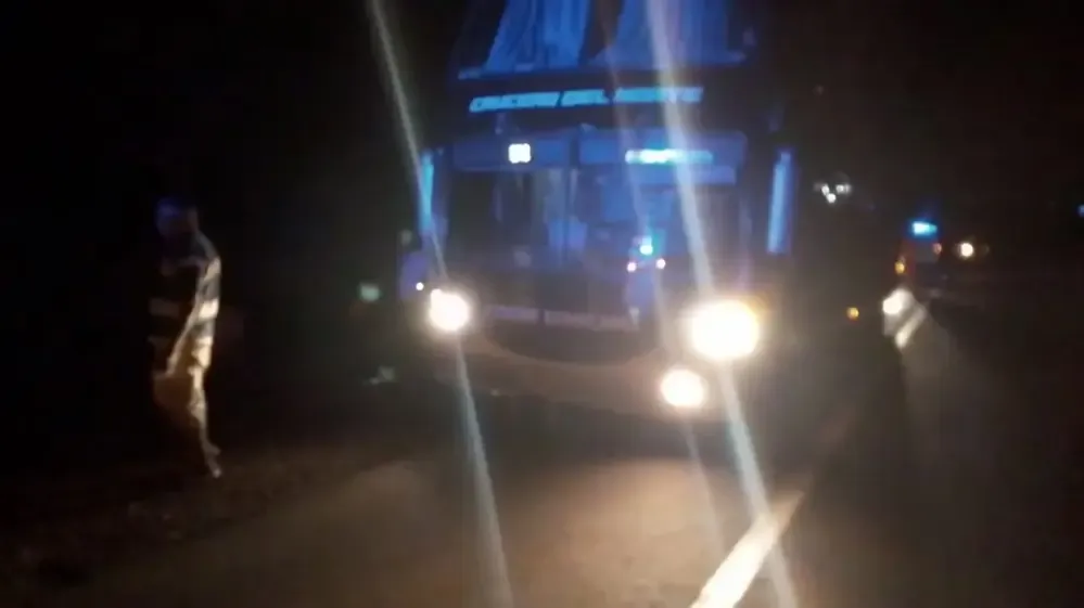 Insólito hallazgo en una camioneta: llevaban animales exóticos bajo el asiento del acompañante