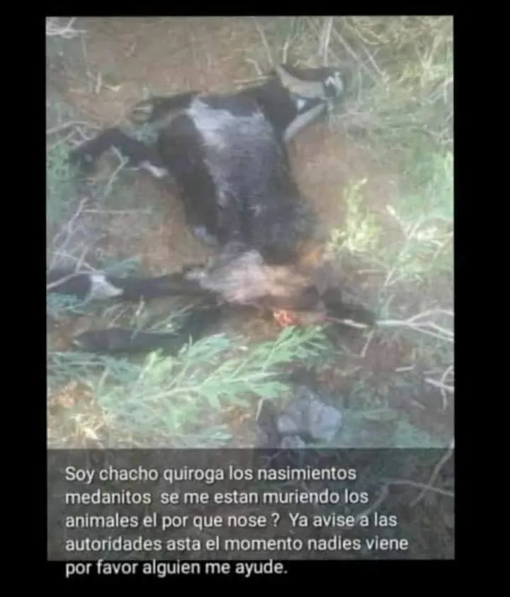 Intentó cometer un ilícito y amenazó con un cuchillo a los policías