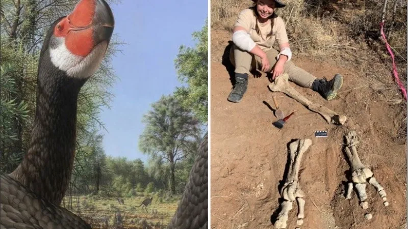 Internaron a Mauricio Macri y fue operado