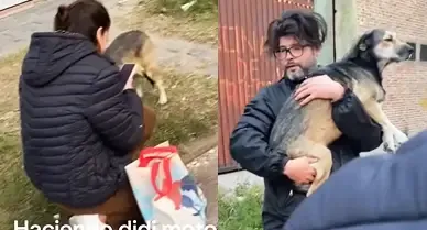 Internet despide a Kabosu, la perra que se volvió uno de los memes más virales en la historia de las redes sociales