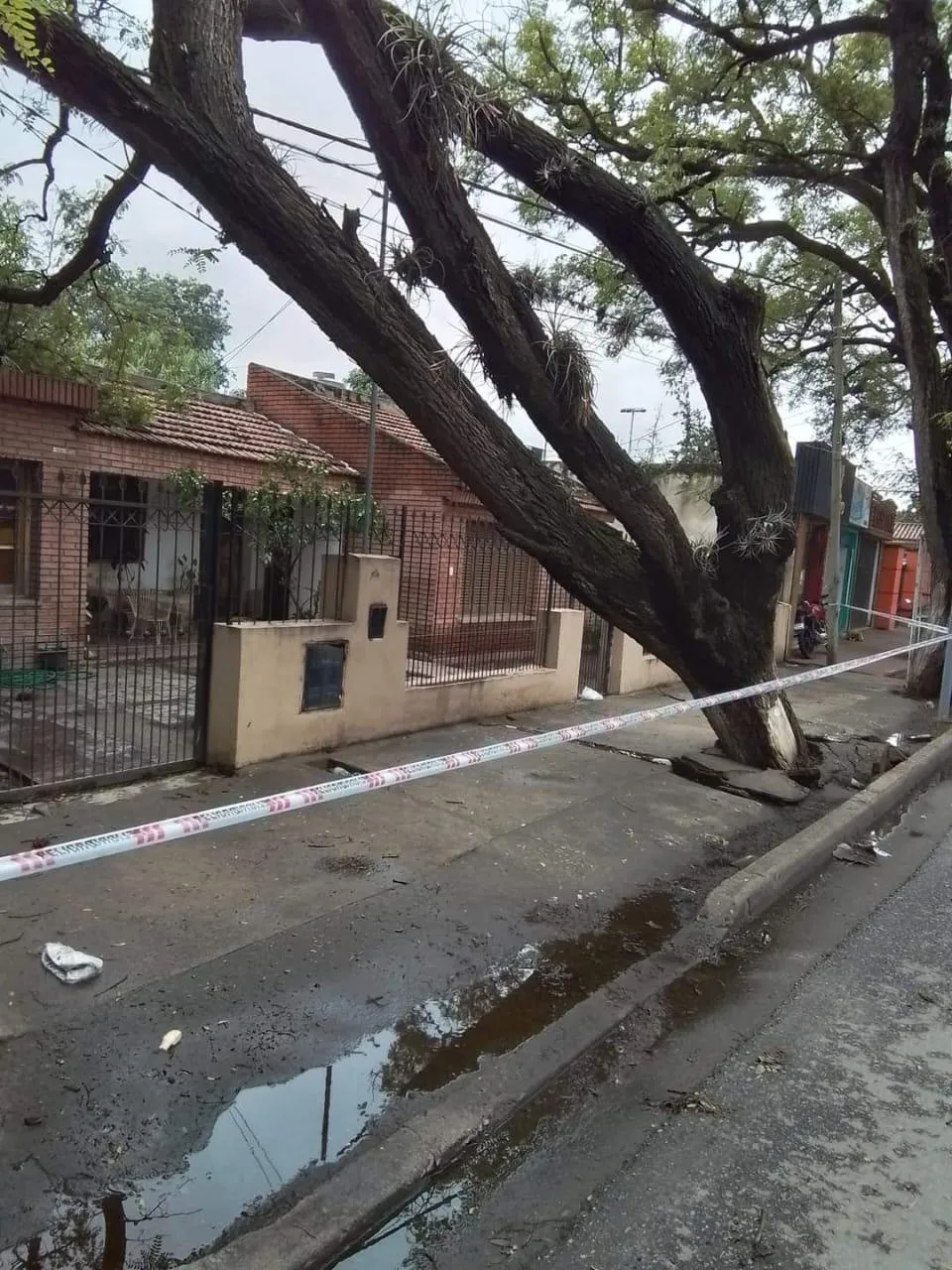 Javier Milei dio detalles de la aplicación del DNU y apuntó contra los que protestan