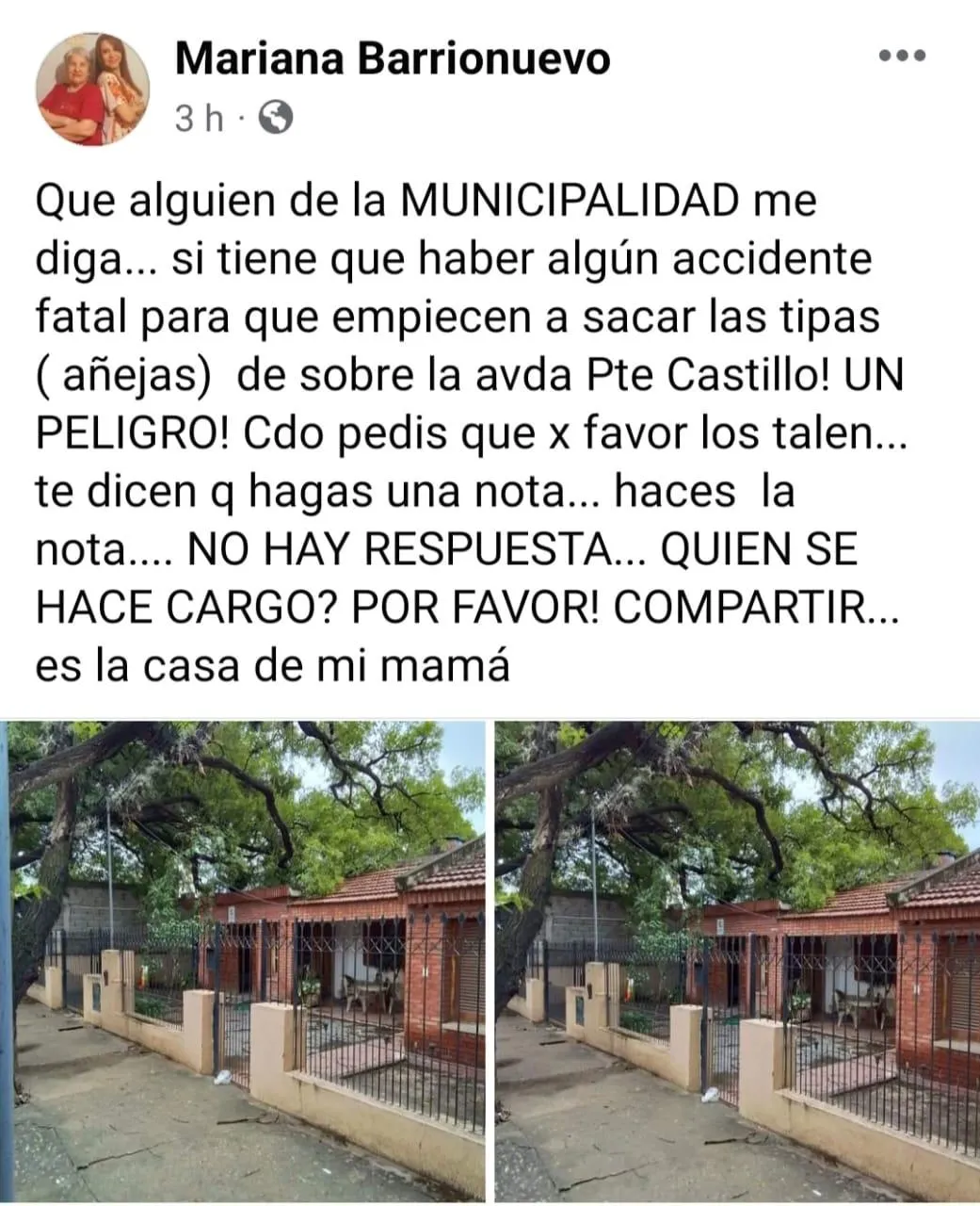 Javier Milei dio detalles de la aplicación del DNU y apuntó contra los que protestan