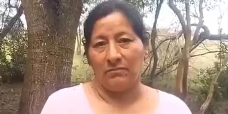 Julio Iglesias confesó lo que siente con los famosos y desopilantes memes con su cara