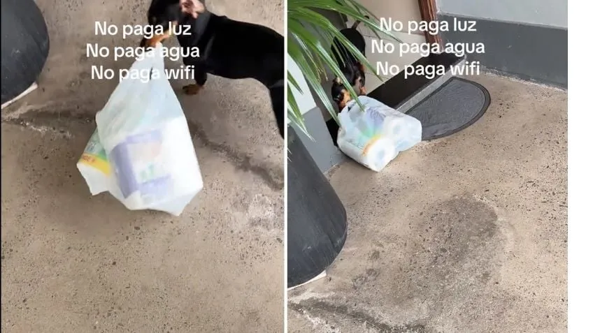 Junio llega con dos feriados clave