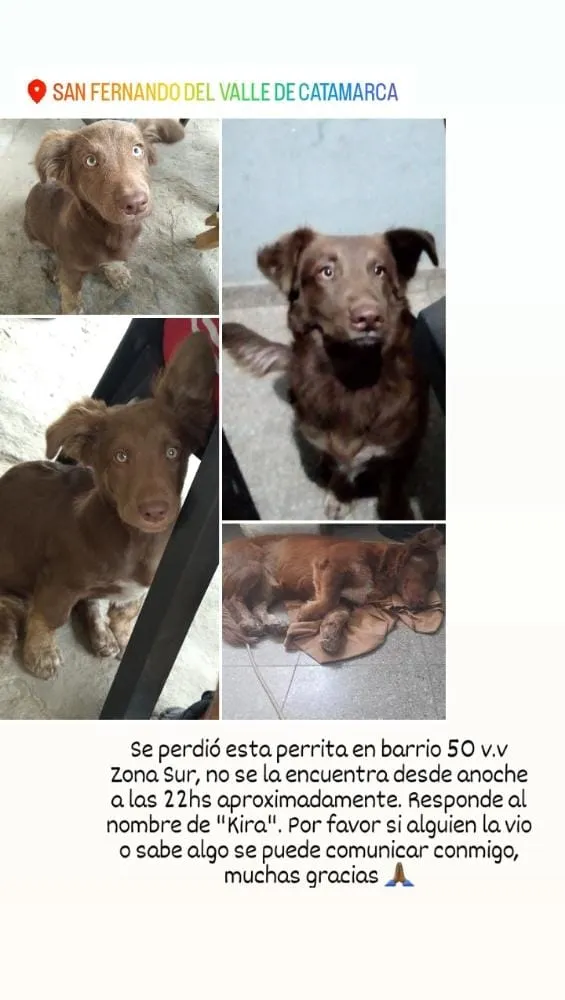 La Aduana denunció a Yao Cabrera por contrabando
