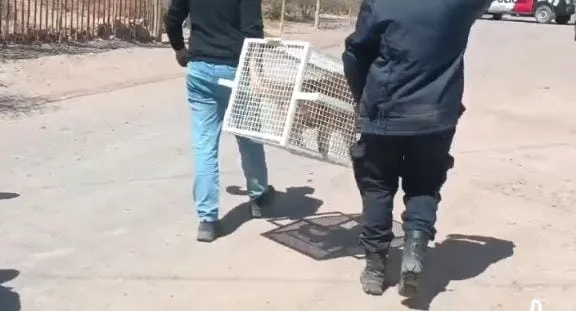 La amiga de Fabiola Yañez que recibió mensajes hot de Alberto Fernández estando en México
