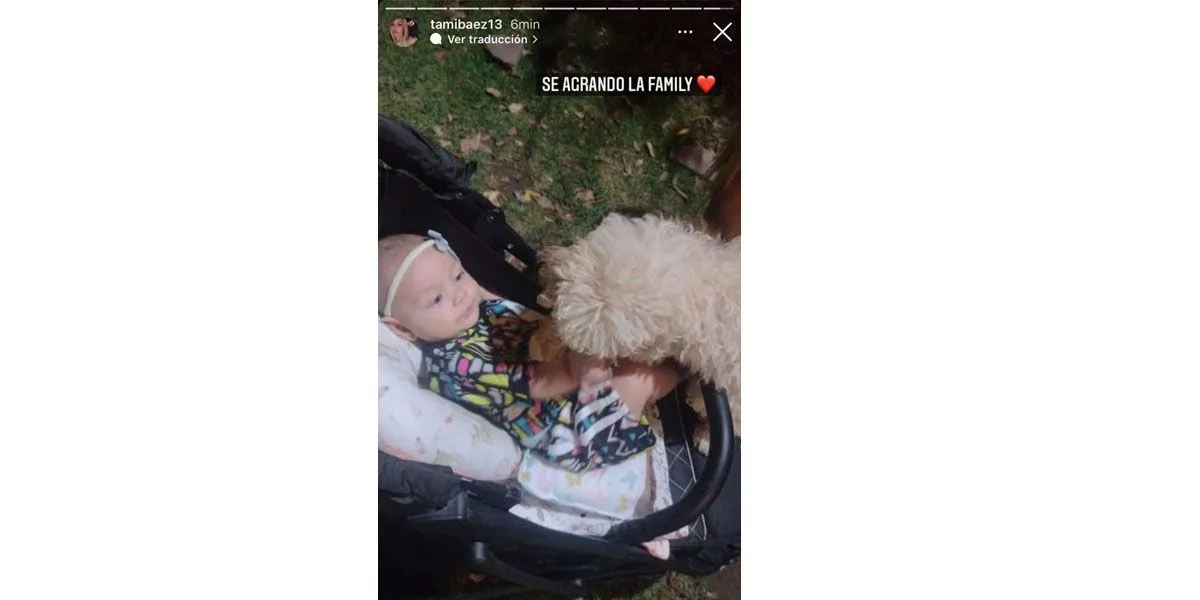 La astuta maniobra de una familia para pasar la Navidad con un caso positivo de COVID-19