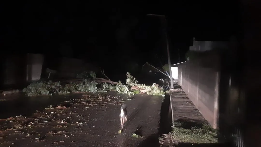 La conmovedora carta que dejó Fernando Báez Sosa antes de su asesinato