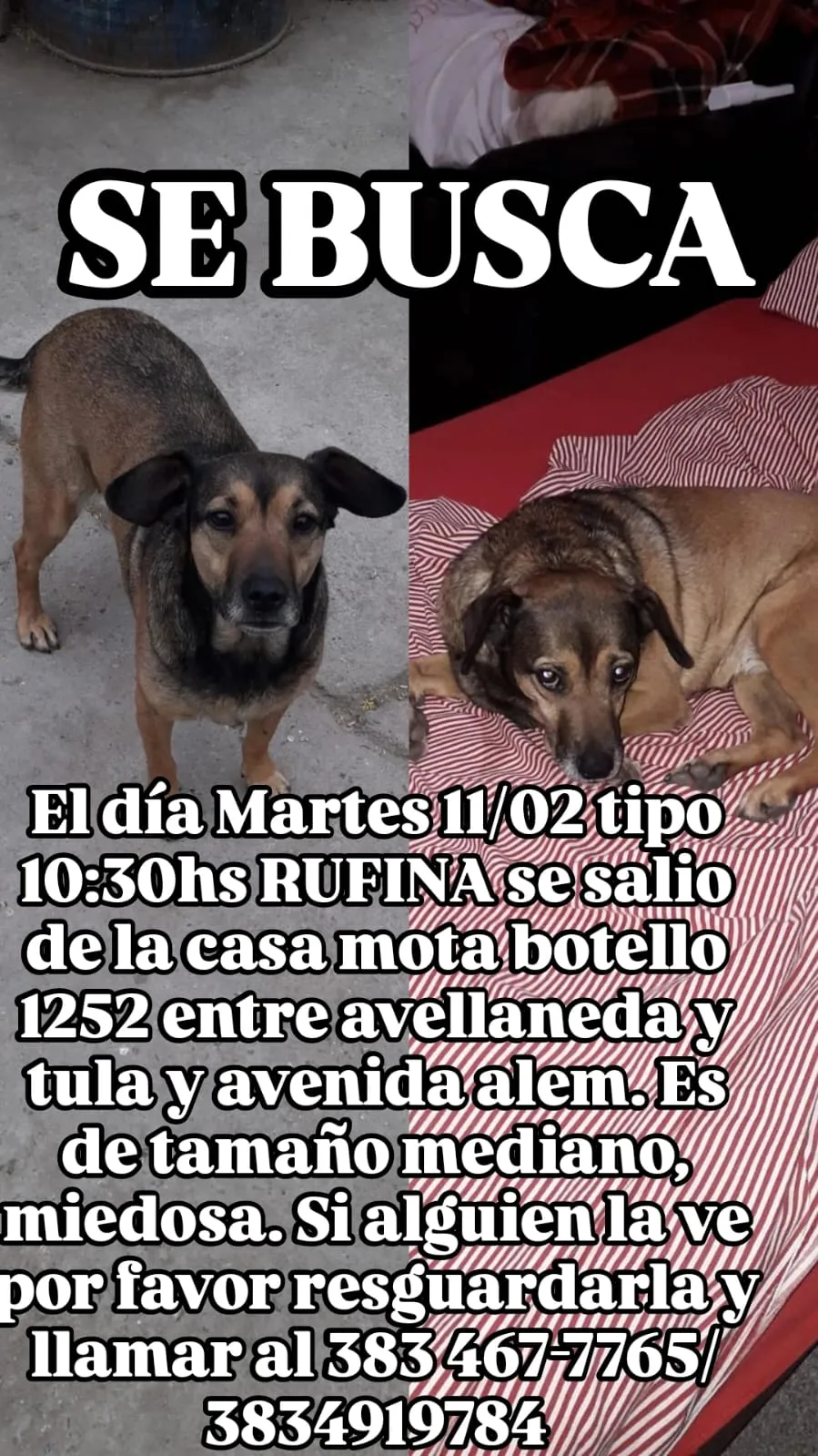 "La estafa de la llamada perdida"