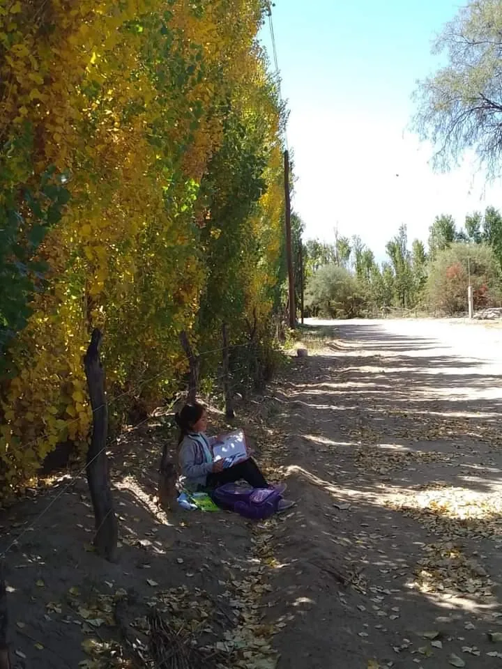 La historia detrás de la única cabra negra sin pelo, considerada “un milagro”