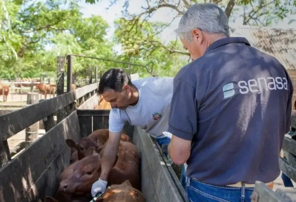 La importancia del descanso: cuáles son los riesgos de dormir mal