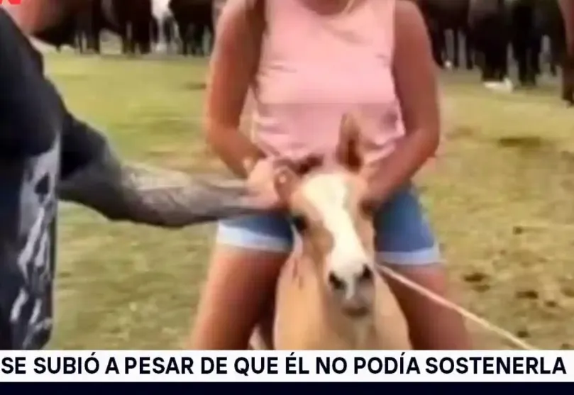 La infusión que ayuda a eliminar el colesterol malo y eliminar los cálculos
