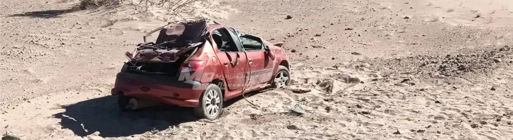 La mala noticia que podría recibir Colapinto, tras su choque y abandono en el GP de Brasil