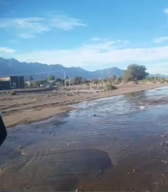 La modelo a la que le amputaron una pierna y siguió desfilando con una prótesis
