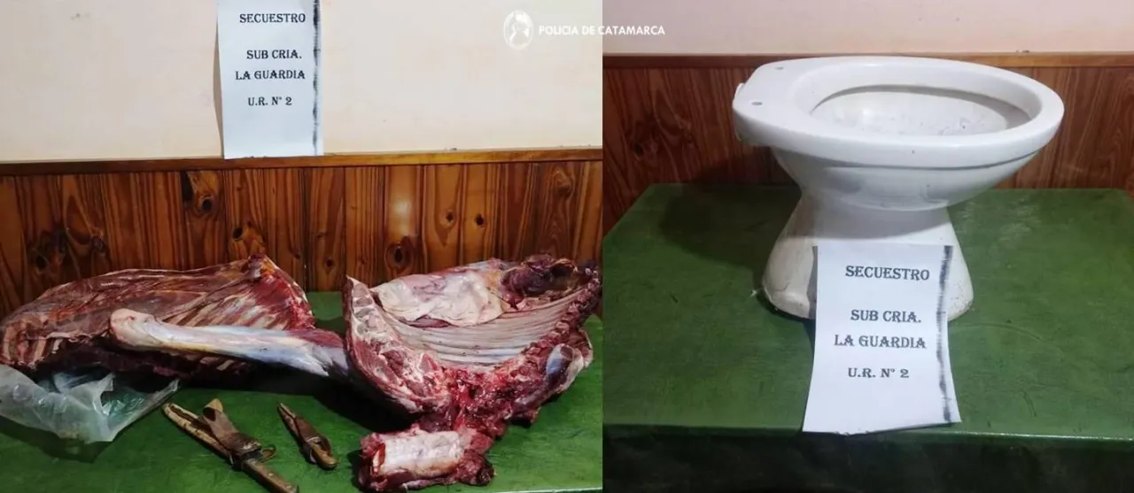 La pesadilla que vivieron 15 mujeres en una quinta alquilada