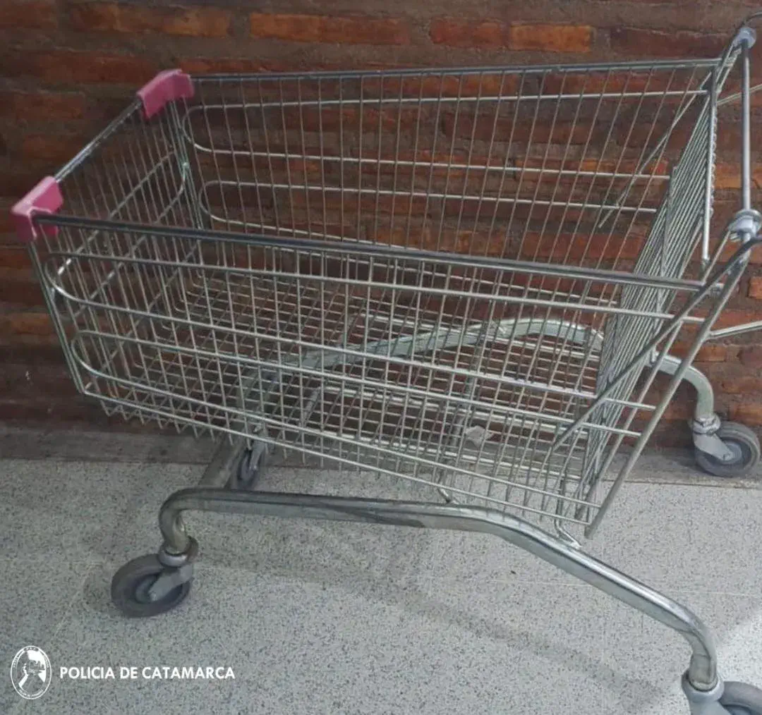 La policía demoró a tres menores que robaron un carro