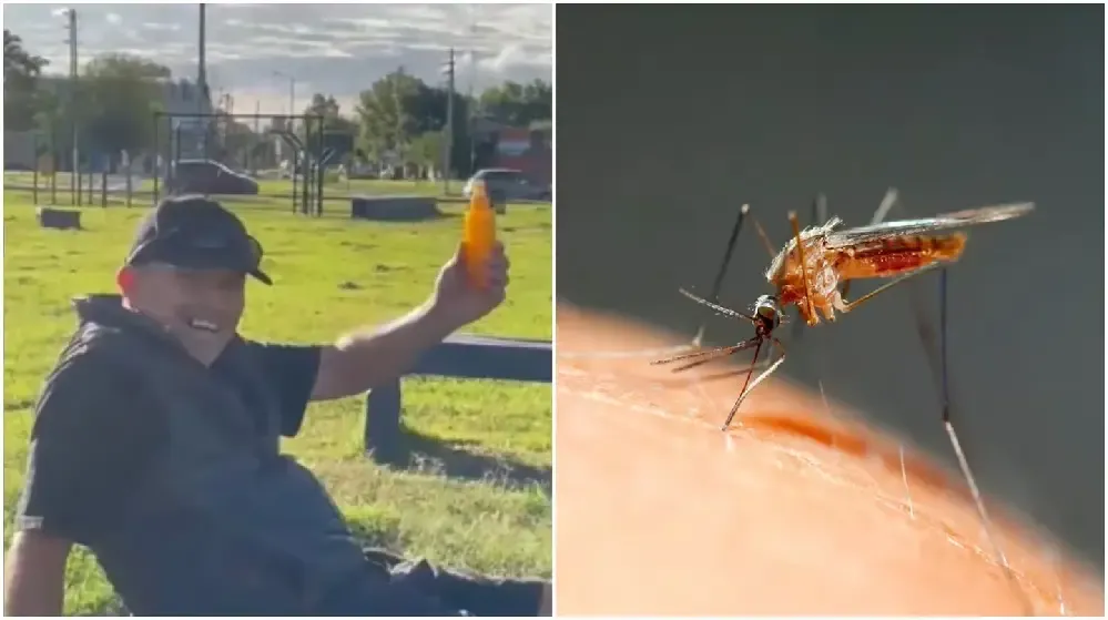 La predicción de un astrólogo sobre el brote de dengue en Argentina que preocupó a todos
