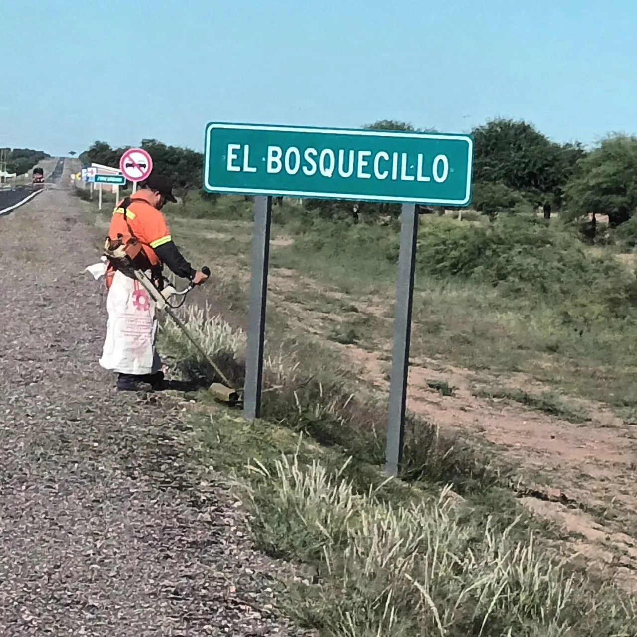 La razón por la que los gatos se esconden cuando llegan visitas