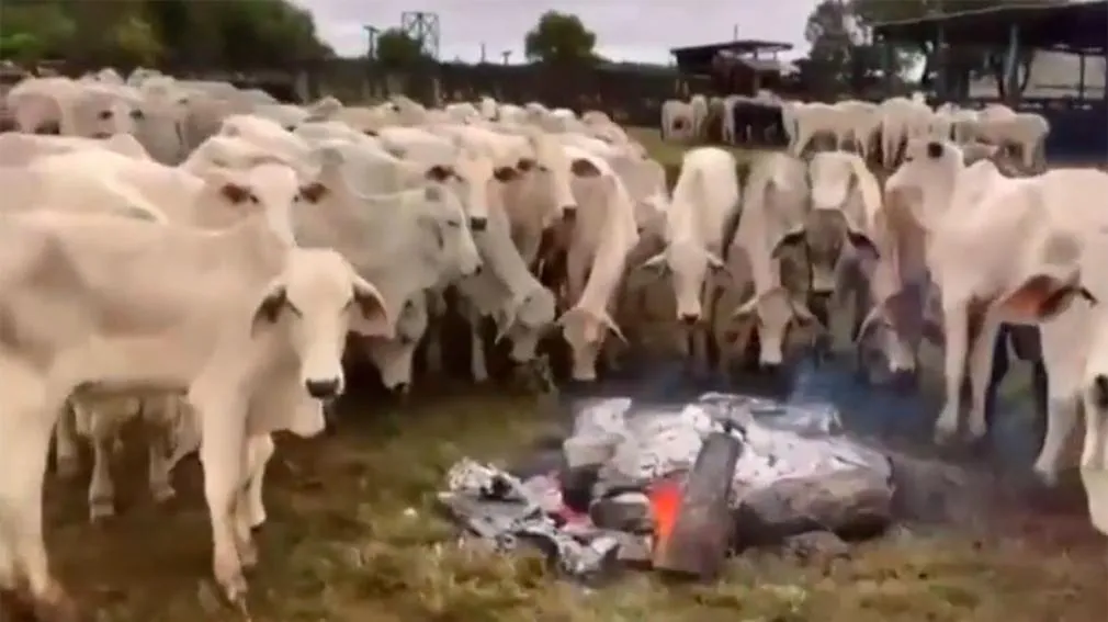 La Rioja: Gracias a un video se evitó un nuevo caso Lucio