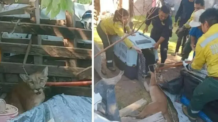 La técnica japonesa con una rutina de sólo un minuto que reduce y tonifica el abdomen