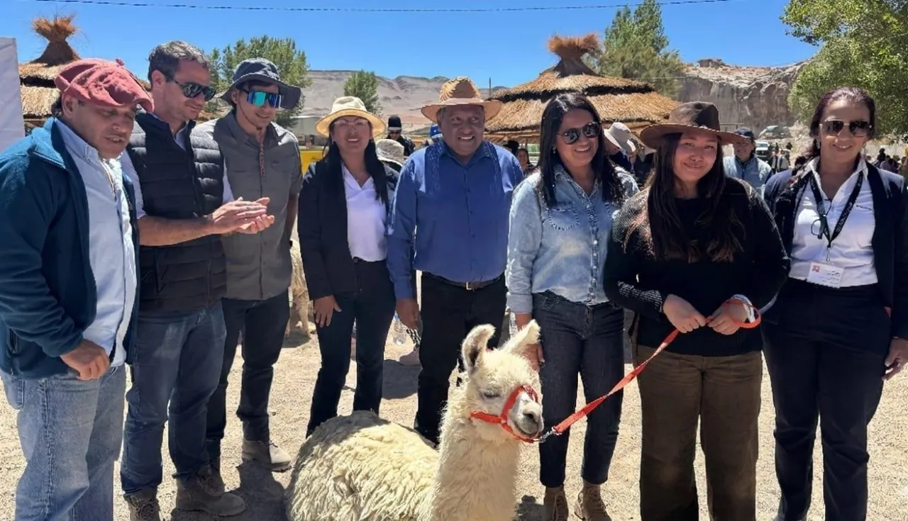 La Vega de Trapiche avanza con su revegetación y se espera que esté totalmente revalorizada en pocos años