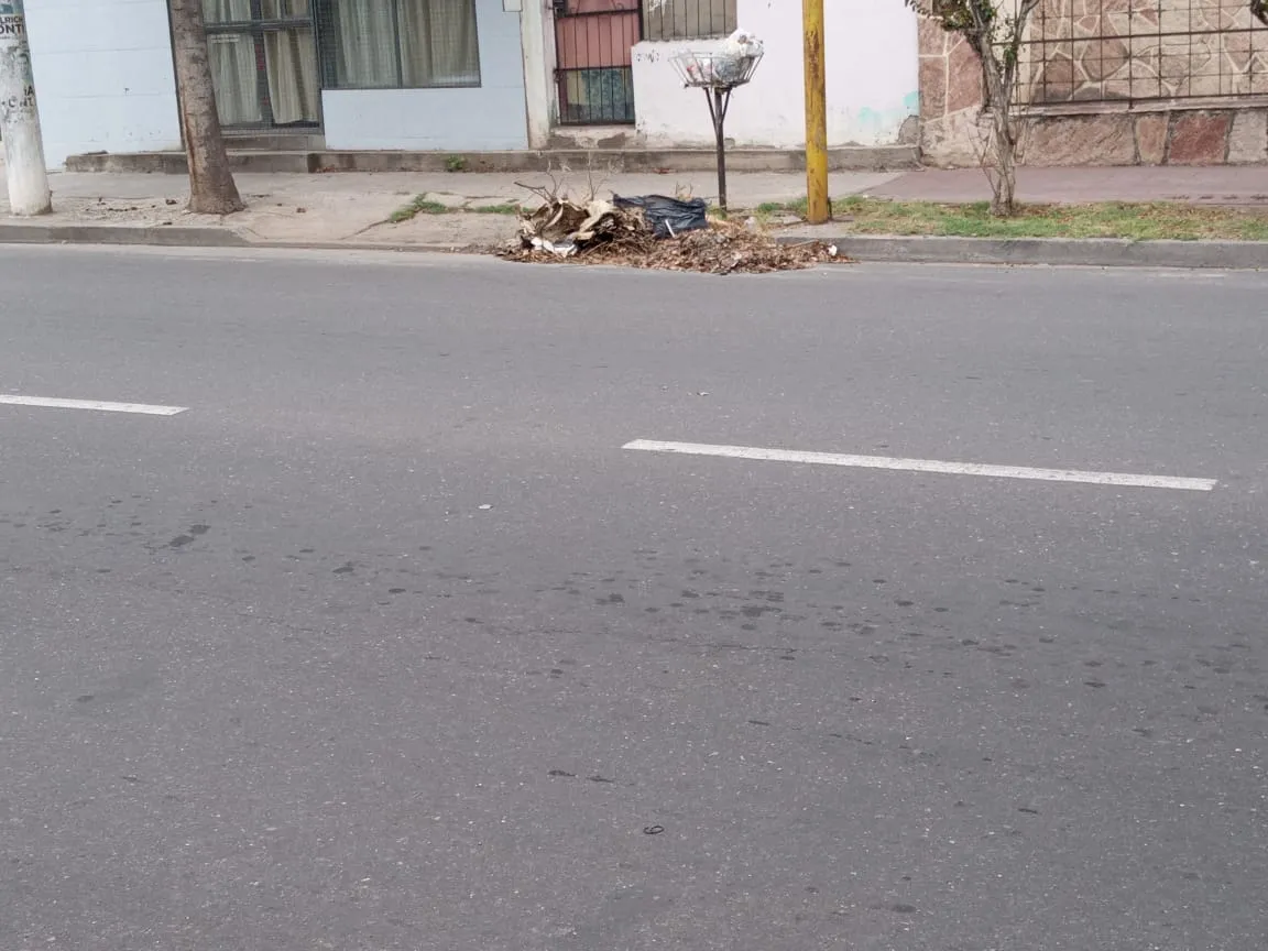 Las uñas quebradizas quedan en el pasado con estos 2 económicos ingredientes