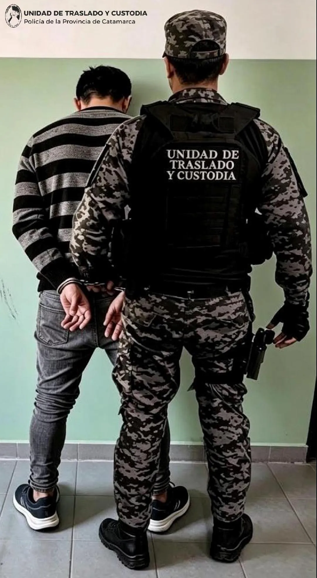 Las ventajas de acariciar a los perros