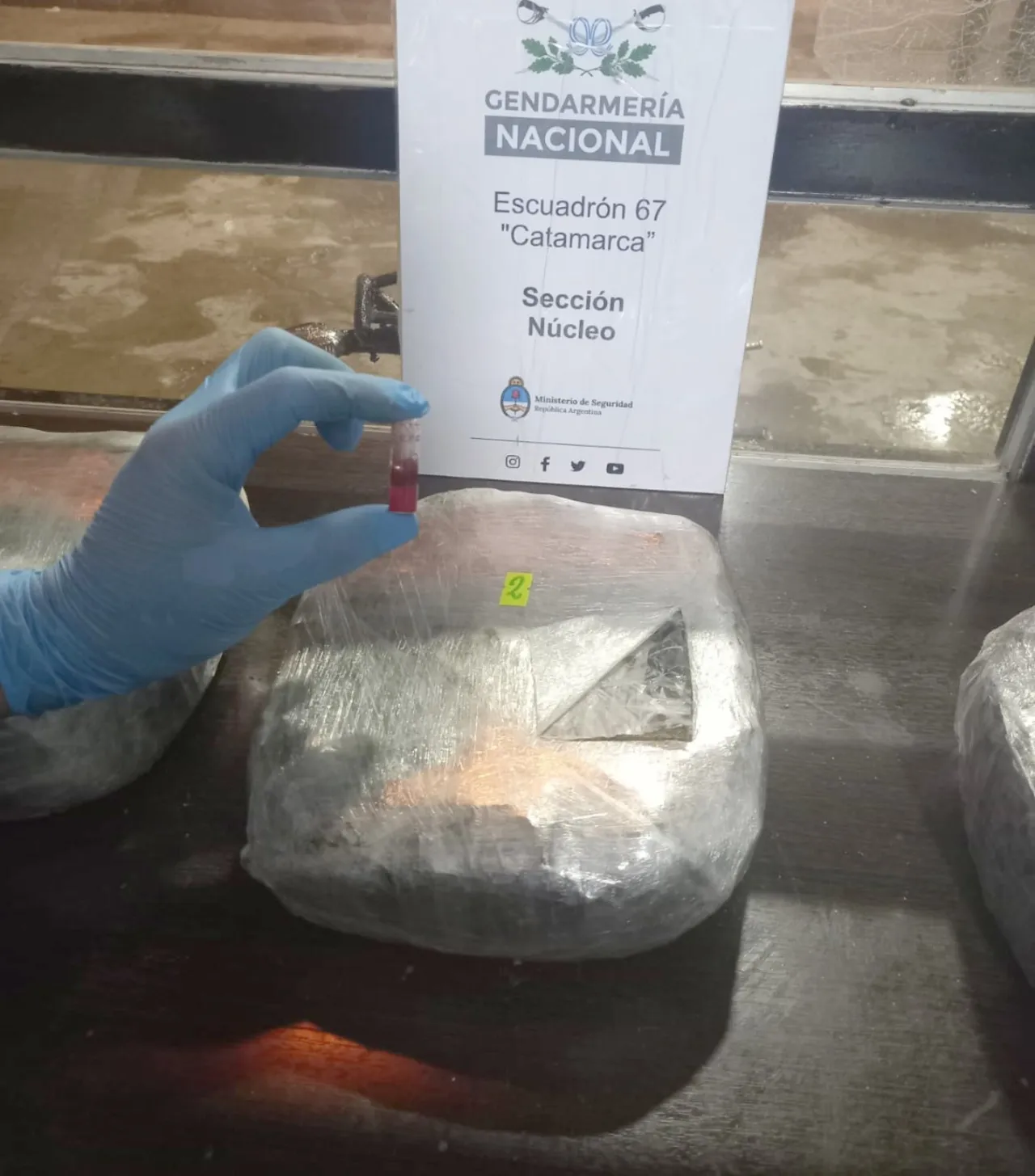 Le concedieron la prisión domiciliaria Morena Rial