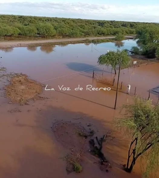 Le robaron la moto y ofrece recompensa