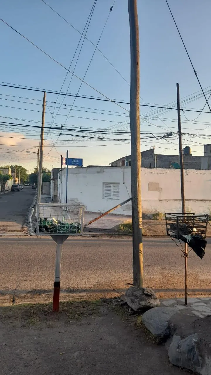 Lingote de limón