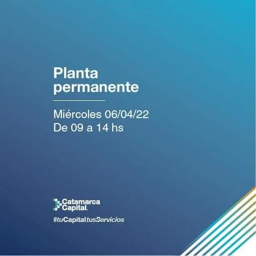 Listados de orden de mérito definitivo para Nivel Inicial, Primaria, Especial y Adultos