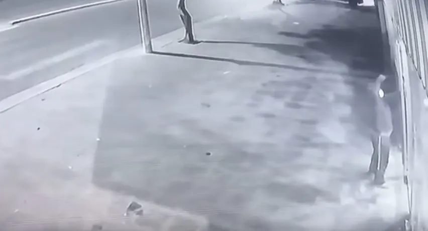 Litio, POSCO y gato por liebre
