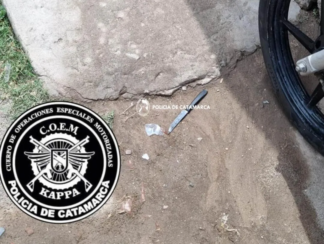 Llevó a su perro a que le hagan un corte de pelo y el resultado explotó en Twitter