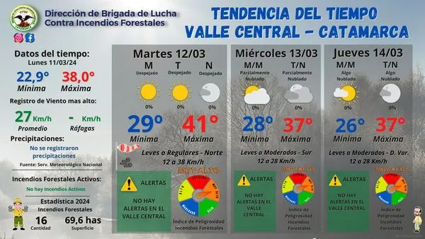 Los beneficios de comer acelga