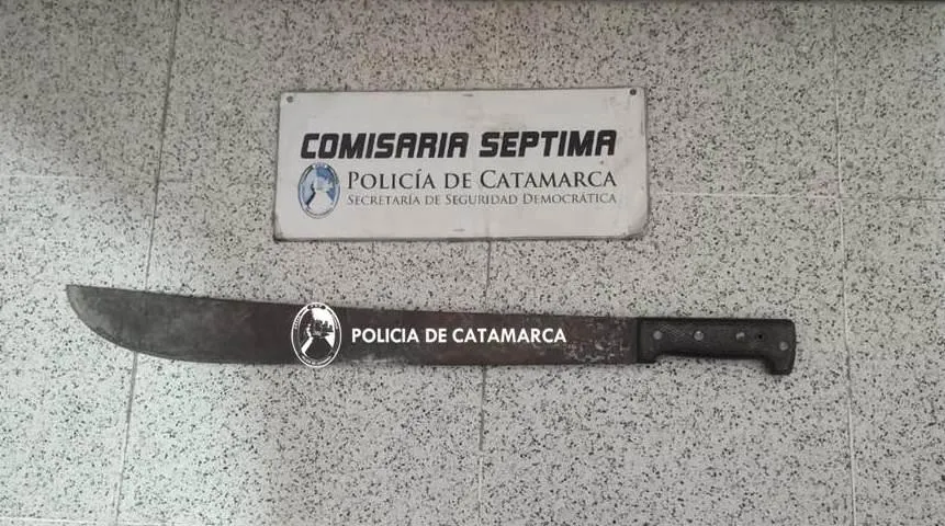 Los honorarios que deberán pagar los rugbiers tras la condena por el asesinato de Báez Sosa