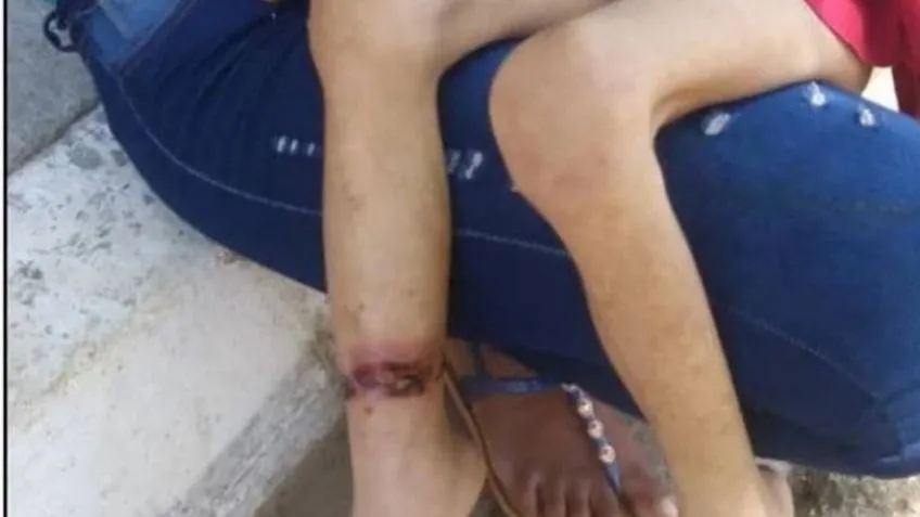 "Los perros lloraban y ladraban a algo que no podíamos ver": escalofriante anécdota