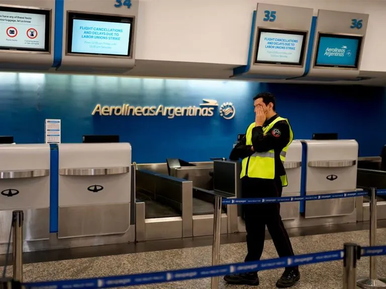 Los perros "sienten" el embarazo antes que sus dueños