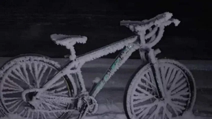 Los signos más fríos
